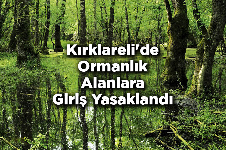 Kırklareli'de Ormanlık Alanlara Giriş Yasaklandı - Kırklareli'de Ormana Giriş Yasak Mı?
