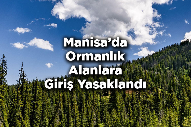 Manisa'da Ormanlık Alanlara Giriş Yasaklandı – Manisa'da Ormana Giriş Yasak Mı?