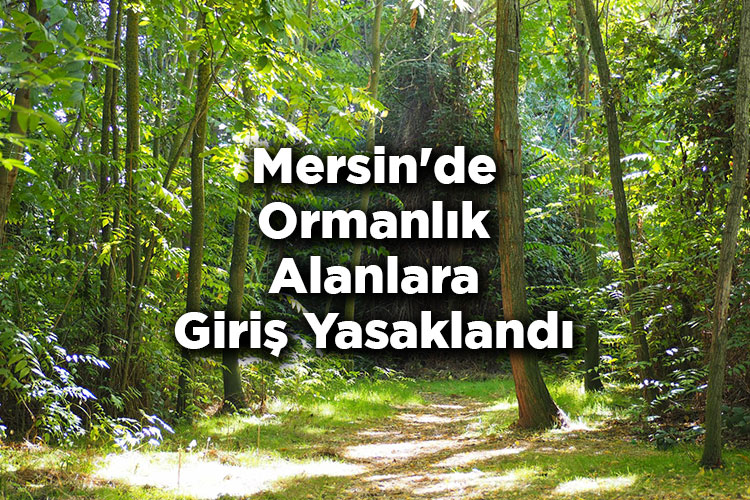 Mersin'de Ormanlık Alanlara Giriş Yasaklandı – Mersin'de Ormana Giriş Yasak Mı?
