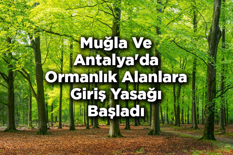Muğla Ve Antalya'da Ormanlık Alanlara Giriş Yasağı Başladı