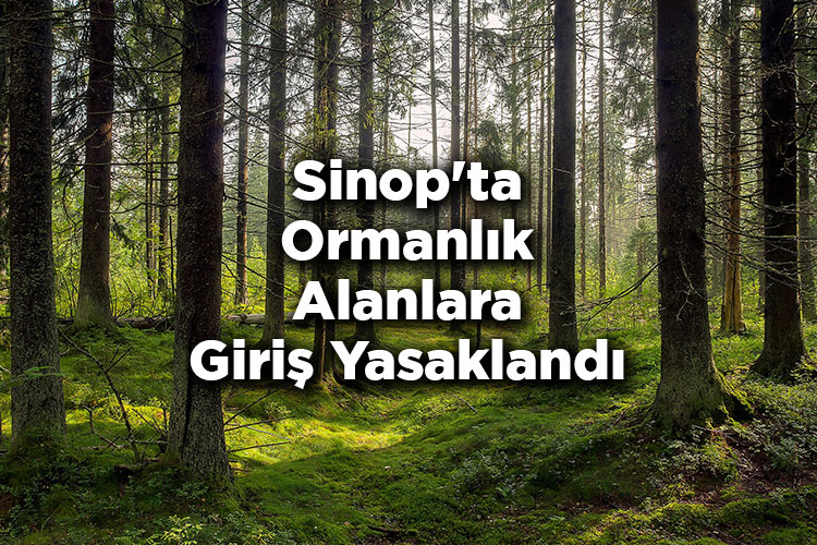 Sinop'ta Ormanlık Alanlara Giriş Yasaklandı! – Sinop'ta Ormana Giriş Yasak Mı?