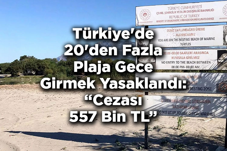 Türkiye'de 20'den Fazla Plaja Gece Girmek Yasaklandı: Cezası 557 Bin TL