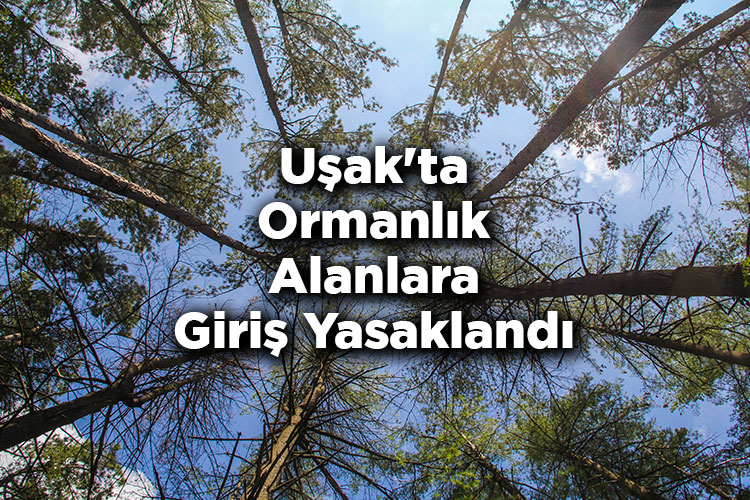 Uşak'ta Ormanlık Alanlara Giriş Yasaklandı – Uşak'ta Ormana Giriş Yasak Mı?