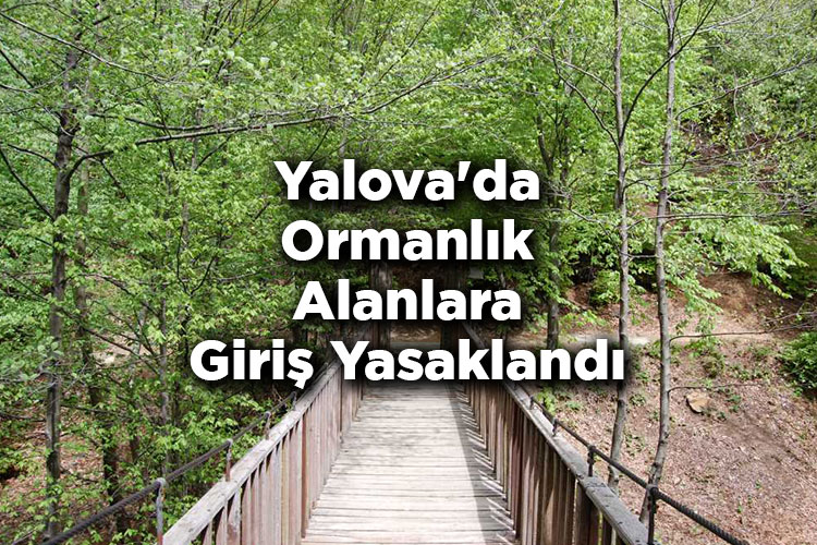 Yalova'da Ormanlık Alanlara Giriş Yasaklandı! – Yalova'da Ormana Giriş Yasak Mı?