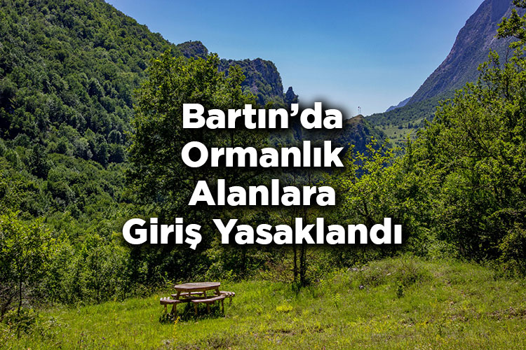 Bartın'da Ormanlık Alanlara Giriş Yasaklandı – Bartın'da Ormana Giriş Yasak Mı?