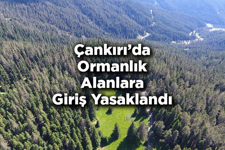 Çankırı'da Ormanlık Alanlara Giriş Yasaklandı – Çankırı'da Ormana Giriş Yasak Mı?