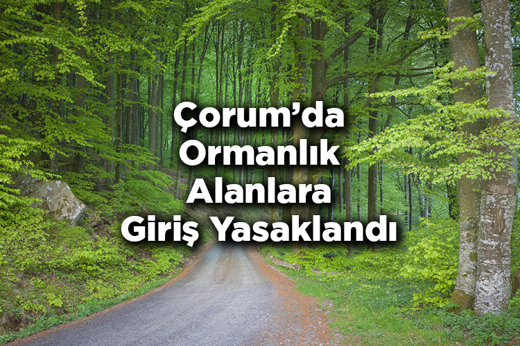 Çorum'da Ormanlık Alanlara Giriş Yasaklandı – Çorum'da Ormana Giriş Yasak Mı?