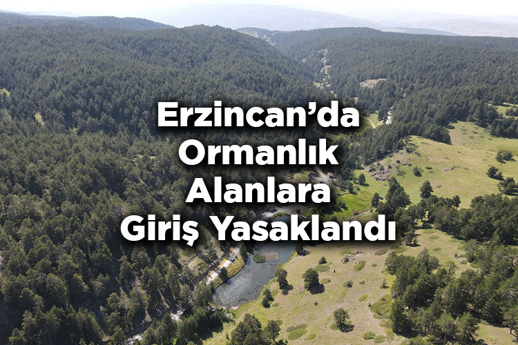 Erzincan'da Ormanlık Alanlara Giriş Yasaklandı – Erzincan'da Ormana Giriş Yasak Mı?