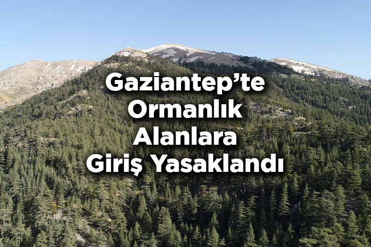 Gaziantep'te Ormanlık Alanlara Giriş Yasaklandı – Gaziantep'te Ormana Giriş Yasak Mı?