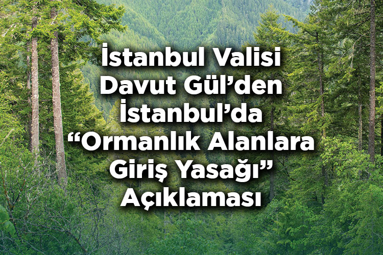 İstanbul Valisi Davut Gül'den İstanbul'da Ormanlık Alanlara Giriş Yasağı Açıklaması