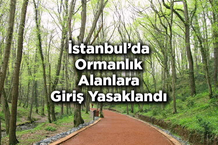 İstanbul'da Ormanlık Alanlara Giriş Yasaklandı – İstanbul'da Ormana Giriş Yasak Mı?