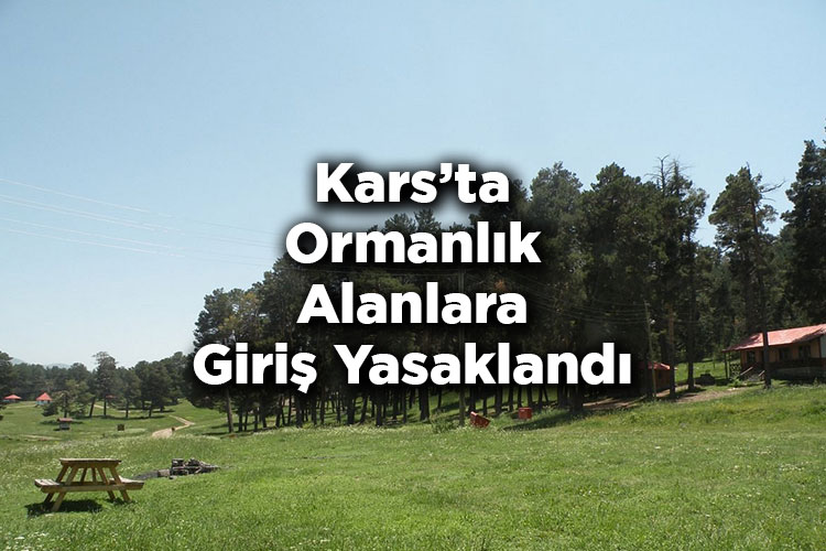 Kars'ta Ormanlık Alanlara Giriş Yasaklandı – Kars'ta Ormana Giriş Yasak Mı?