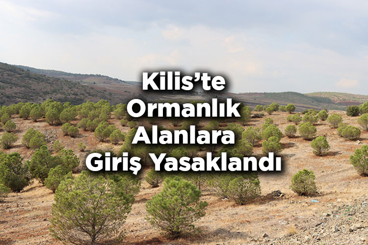 Kilis'te Ormanlık Alanlara Giriş Yasaklandı – Kilis'te Ormana Giriş Yasak Mı?