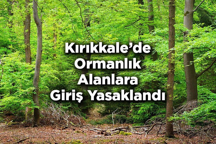 Kırıkkale'de Ormanlık Alanlara Giriş Yasaklandı – Kırıkkale'de Ormana Giriş Yasak Mı?