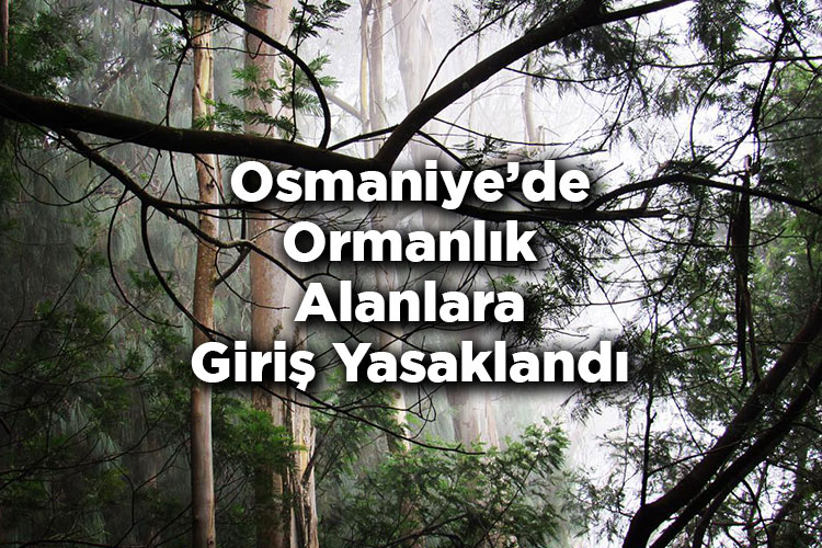 Osmaniye'de Ormanlık Alanlara Giriş Yasaklandı – Osmaniye'de Ormana Giriş Yasak Mı?
