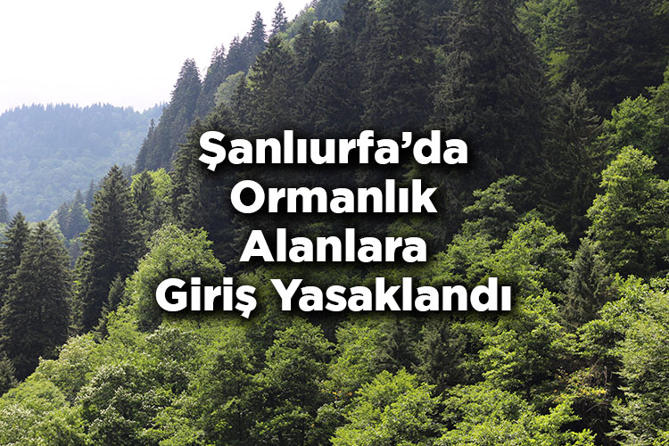 Şanlıurfa'da Ormanlık Alanlara Giriş Yasaklandı – Şanlıurfa'da Ormana Giriş Yasak Mı?