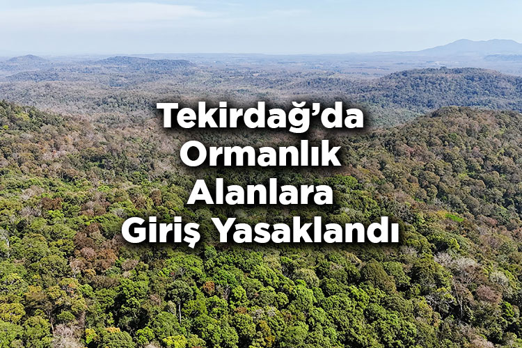 Tekirdağ'da Ormanlık Alanlara Giriş Yasaklandı – Tekirdağ'da Ormana Giriş Yasak Mı?