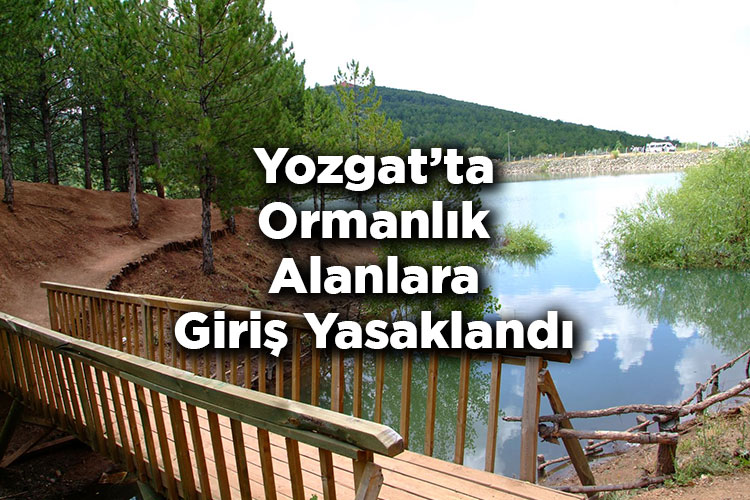 Yozgat'ta Ormanlık Alanlara Giriş Yasaklandı – Yozgat'ta Ormana Giriş Yasak Mı?