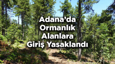 Adana'da Ormanlık Alanlara Giriş Yasaklandı – Adana'da Ormana Giriş Yasak Mı?