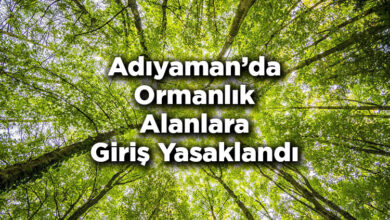 Adıyaman'da Ormanlık Alanlara Giriş Yasaklandı – Adıyaman'da Ormana Giriş Yasak Mı?