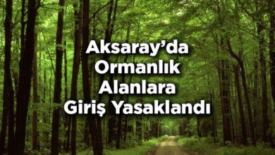 Aksaray'da Ormanlık Alanlara Giriş Yasaklandı – Aksaray'da Ormana Giriş Yasak Mı?