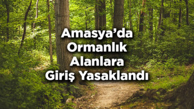 Amasya'da Ormanlık Alanlara Giriş Yasaklandı - Amasya'da Ormana Giriş Yasak Mı?