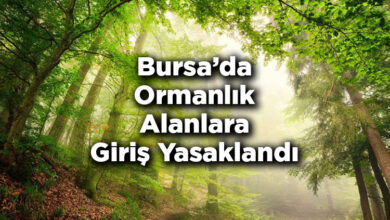 Bursa'da Ormanlık Alanlara Giriş Yasaklandı – Bursa'da Ormana Giriş Yasak Mı?