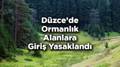 Düzce'de Ormanlık Alanlara Giriş Yasaklandı – Düzce'de Ormana Giriş Yasak Mı?