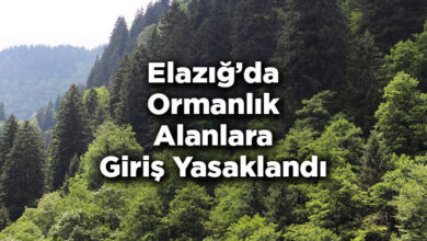 Elazığ'da Ormanlık Alanlara Giriş Yasaklandı – Elazığ'da Ormana Giriş Yasak Mı?
