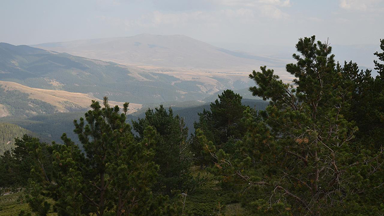 Erzurum'da Ormana Giriş Yasak Mı?