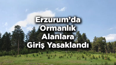 Erzurum'da Ormanlık Alanlara Giriş Yasaklandı – Erzurum'da Ormana Giriş Yasak Mı?