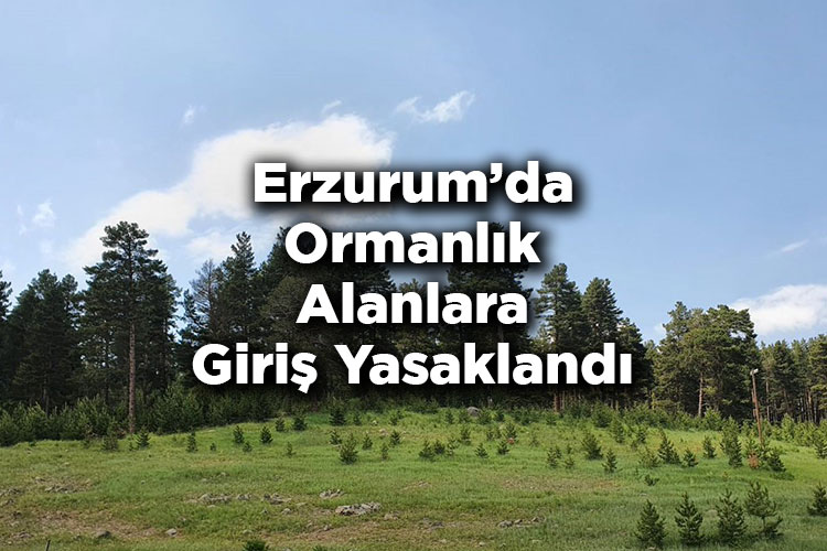 Erzurum'da Ormanlık Alanlara Giriş Yasaklandı – Erzurum'da Ormana Giriş Yasak Mı?