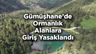 Gümüşhane'de Ormanlık Alanlara Giriş Yasaklandı – Gümüşhane'de Ormana Giriş Yasak Mı?