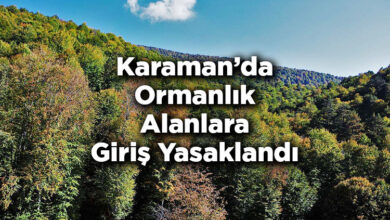 Karaman'da Ormanlık Alanlara Giriş Yasaklandı – Karaman'da Ormana Giriş Yasak Mı?