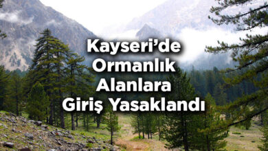 Kayseri'de Ormanlık Alanlara Giriş Yasaklandı – Kayseri'de Ormana Giriş Yasak Mı?