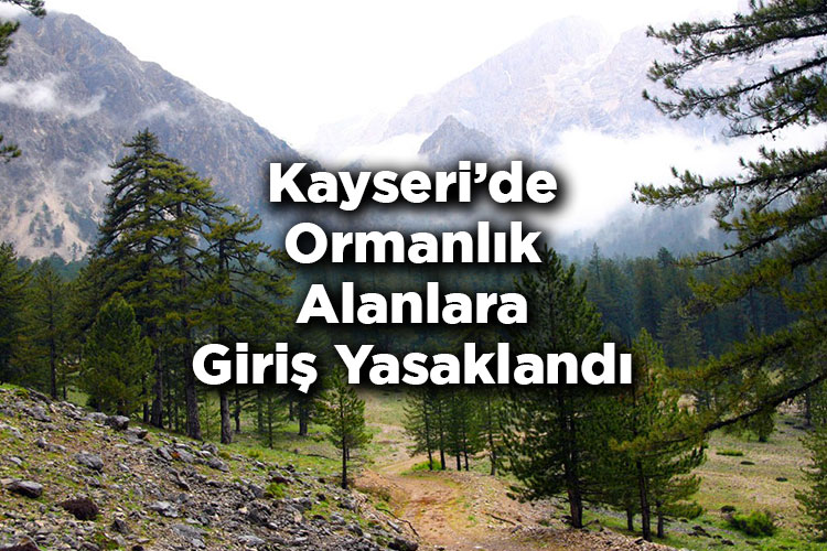 Kayseri'de Ormanlık Alanlara Giriş Yasaklandı – Kayseri'de Ormana Giriş Yasak Mı?