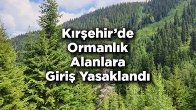 Kırşehir'de Ormanlık Alanlara Giriş Yasaklandı – Kırşehir'de Ormana Giriş Yasak Mı?