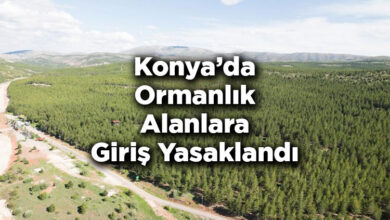 Konya'da Ormanlık Alanlara Giriş Yasaklandı – Konya'da Ormana Giriş Yasak Mı?