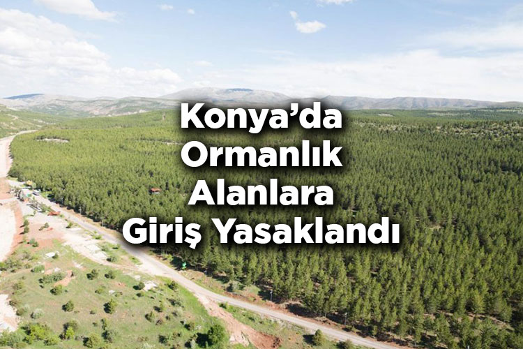Konya'da Ormanlık Alanlara Giriş Yasaklandı – Konya'da Ormana Giriş Yasak Mı?