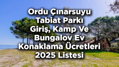 Ordu Çınarsuyu Tabiat Parkı Giriş, Kamp Ve Bungalov Ev Konaklama Ücretleri 2025 Listesi