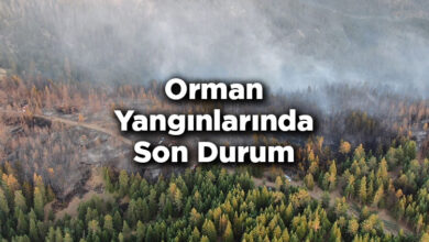 Orman Yangınlarında Son Durum