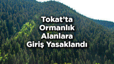 Tokat'ta Ormanlık Alanlara Giriş Yasaklandı – Tokat'ta Ormana Giriş Yasak Mı?