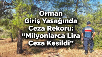 Orman Giriş Yasağında Ceza Rekoru Kırıldı: Milyonlarca Lira Ceza Kesildi