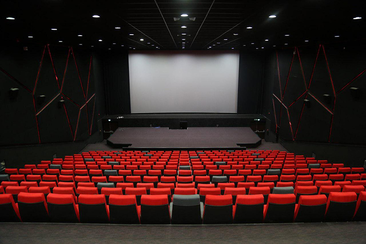 2025 Sinema Festivali Kapsamında Gösterime Girecek Filmler Tam Listesi