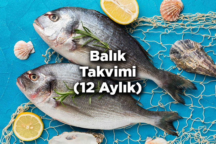 Hangi Ayda Hangi Balık Yenir?