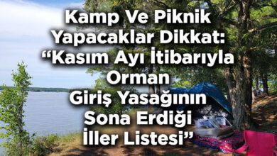 Kamp Ve Piknik Yapacaklar Dikkat: Kasım Ayı İtibarıyla Orman Giriş Yasağının Sona Erdiği İller Listesi