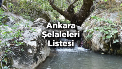 Ankara Şelaleleri Listesi – Ankara'da Gezilecek Şelaleler