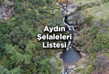 Aydın Şelaleleri Listesi – Aydın'da Gezilecek Şelaleler