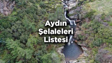 Aydın Şelaleleri Listesi – Aydın'da Gezilecek Şelaleler