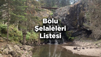 Bolu Şelaleleri Listesi – Bolu'da Gezilecek Şelaleler